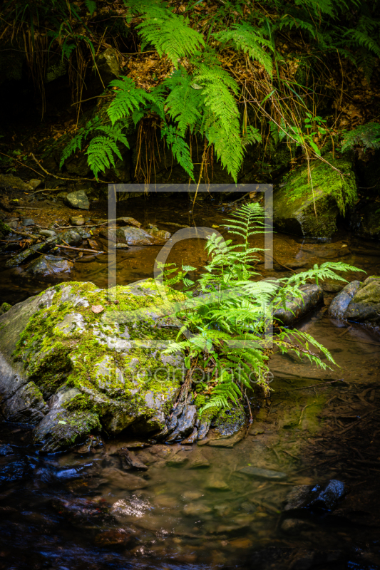 frei wählbarer Bildausschnitt für Ihr Bild auf Tasse