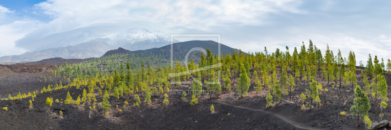 frei w&auml;hlbarer Bildausschnitt f&uuml;r Ihr Bild auf Tasse