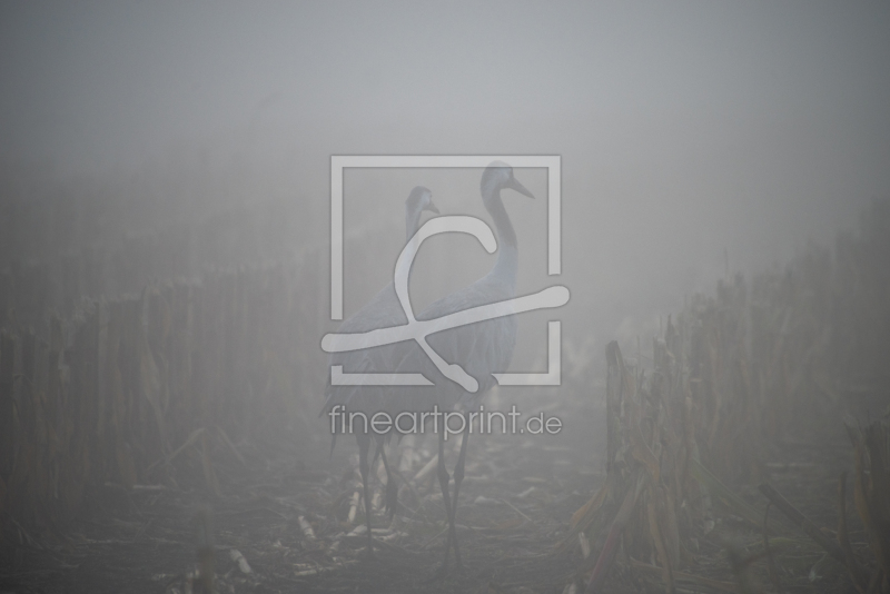 frei wählbarer Bildausschnitt für Ihr Bild auf Tasse