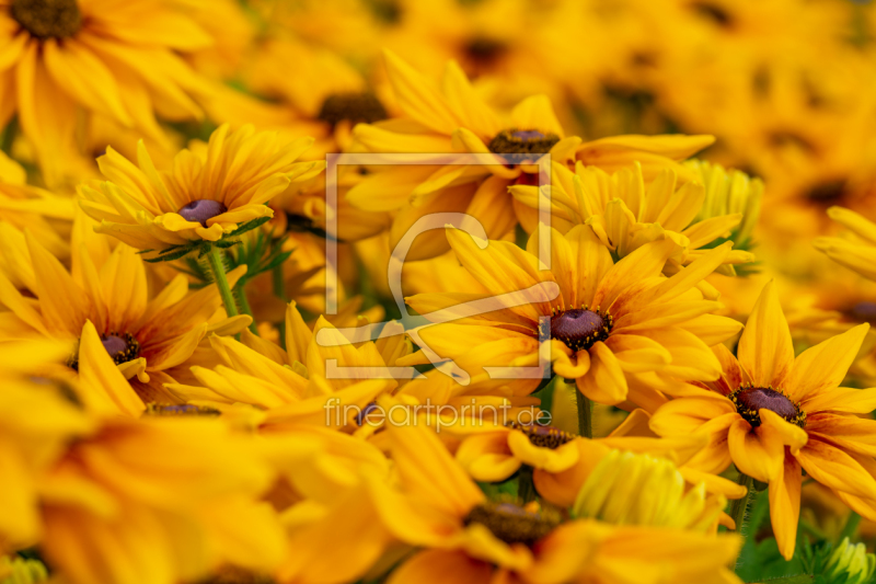 frei w&auml;hlbarer Bildausschnitt f&uuml;r Ihr Bild auf Tasse