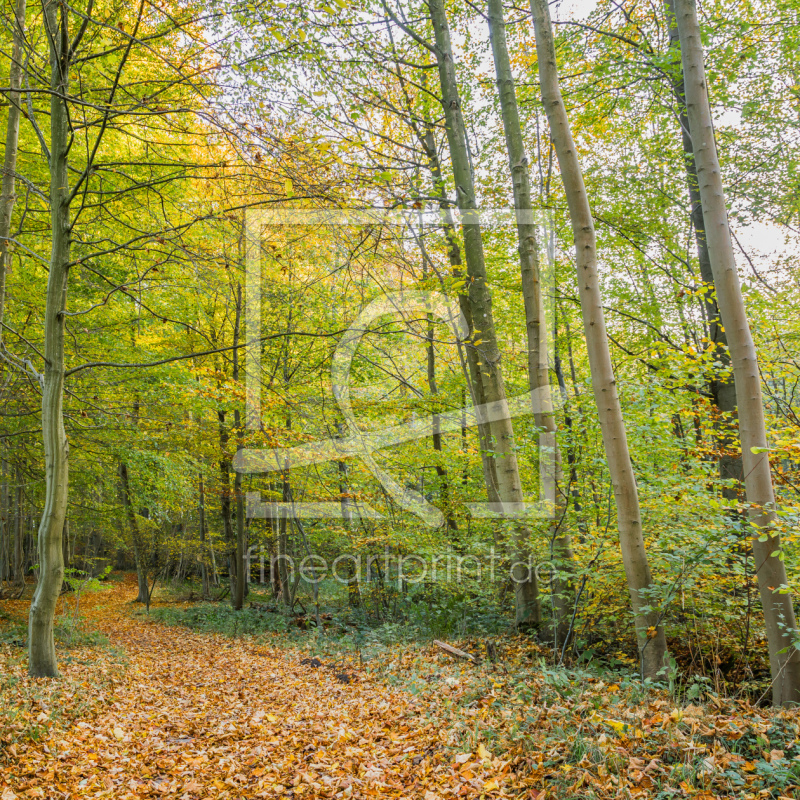 frei w&auml;hlbarer Bildausschnitt f&uuml;r Ihr Bild auf Tasse