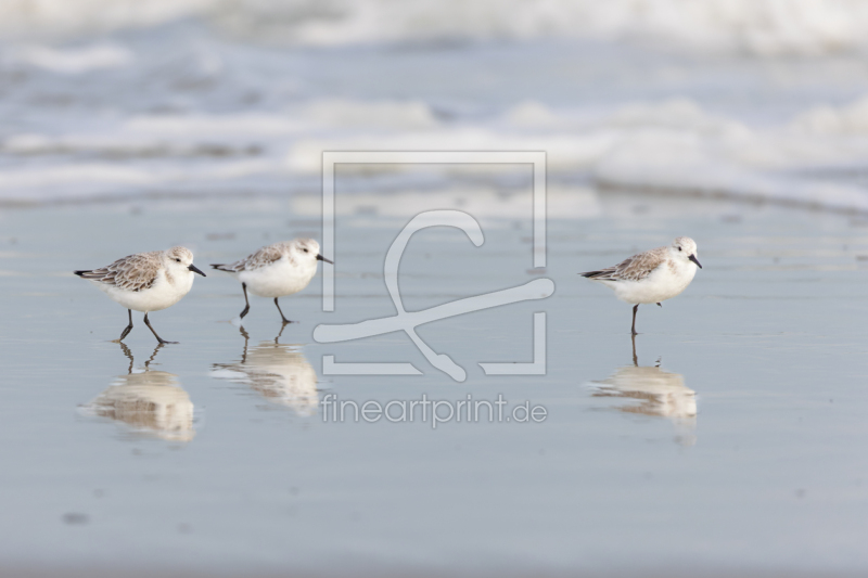 frei wählbarer Bildausschnitt für Ihr Bild auf Tasse