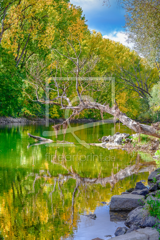 frei w&auml;hlbarer Bildausschnitt f&uuml;r Ihr Bild auf Tasse