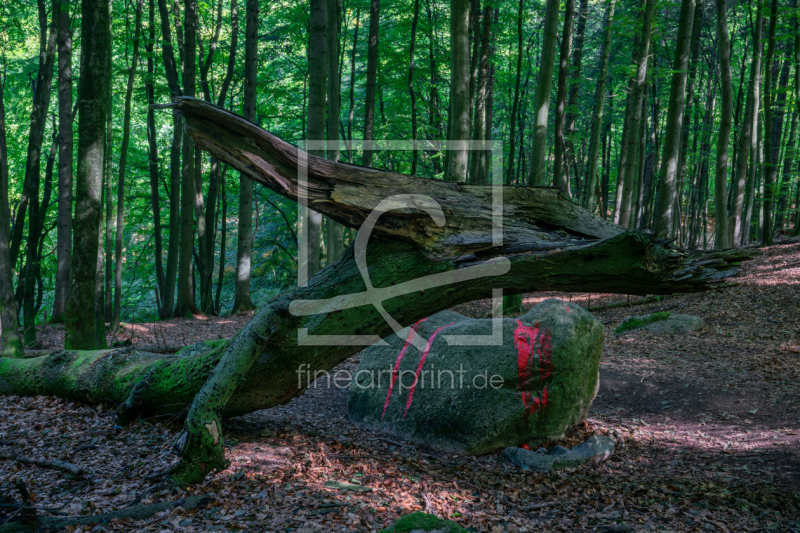 frei wählbarer Bildausschnitt für Ihr Bild auf Tasse