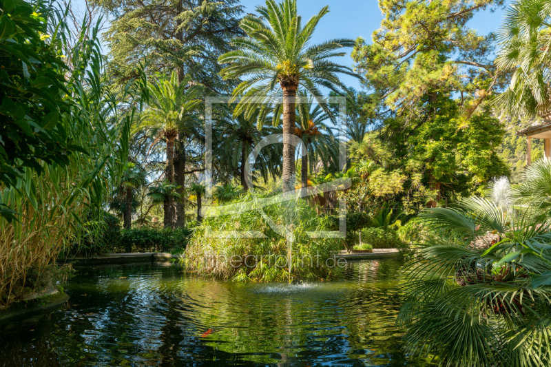 frei w&auml;hlbarer Bildausschnitt f&uuml;r Ihr Bild auf Tasse