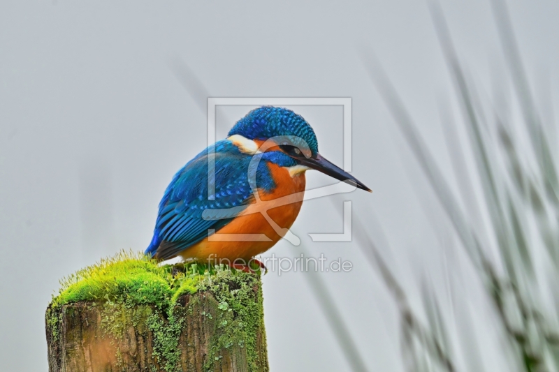 frei w&auml;hlbarer Bildausschnitt f&uuml;r Ihr Bild auf Tasse