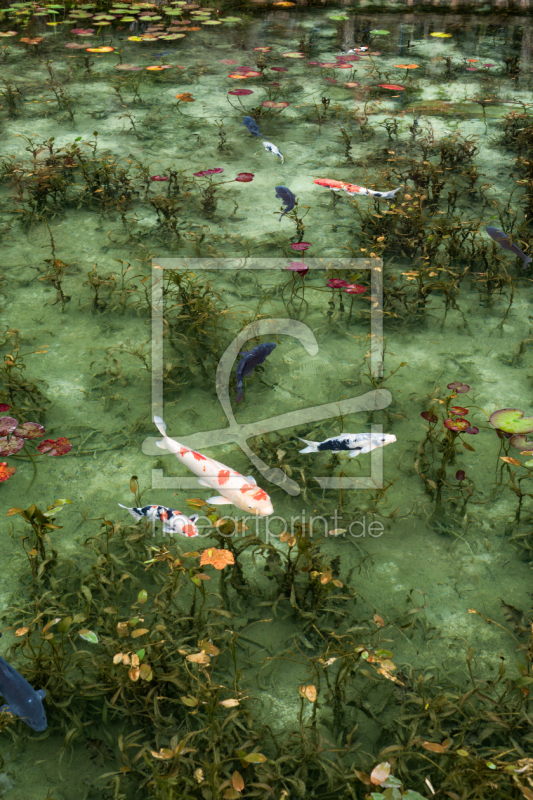 frei wählbarer Bildausschnitt für Ihr Bild auf Tasse