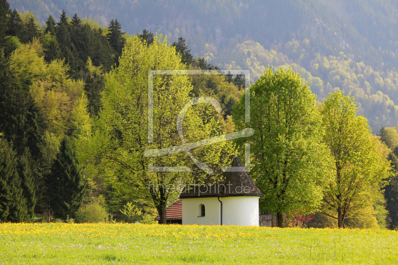 frei wählbarer Bildausschnitt für Ihr Bild auf Tasse