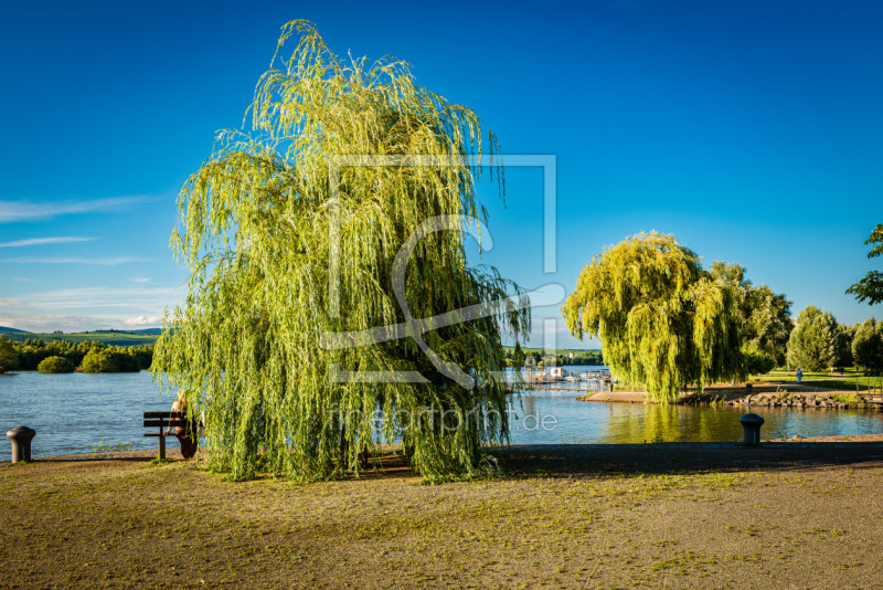 frei w&auml;hlbarer Bildausschnitt f&uuml;r Ihr Bild auf Tasse