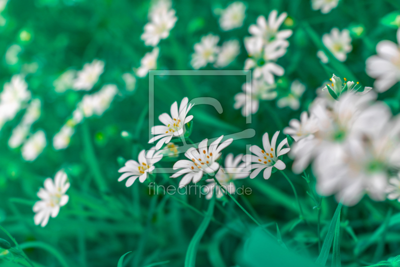 frei w&auml;hlbarer Bildausschnitt f&uuml;r Ihr Bild auf Tasse