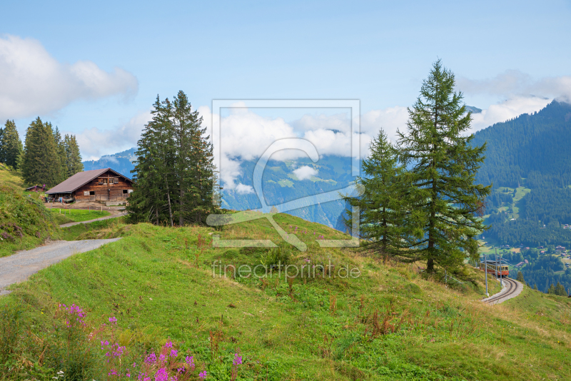 frei w&auml;hlbarer Bildausschnitt f&uuml;r Ihr Bild auf Tasse