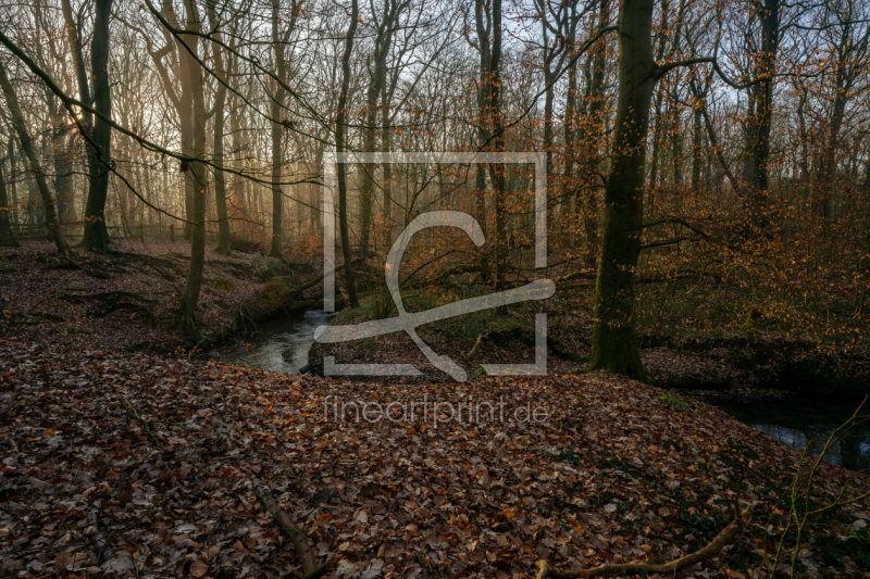 frei w&auml;hlbarer Bildausschnitt f&uuml;r Ihr Bild auf Tasse