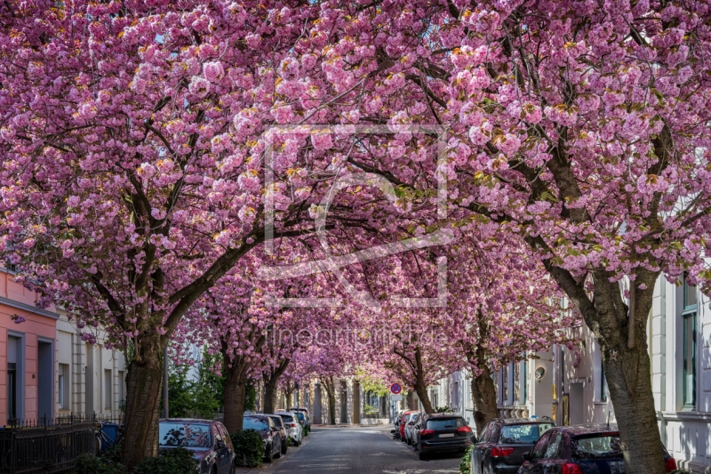 frei w&auml;hlbarer Bildausschnitt f&uuml;r Ihr Bild auf Tasse