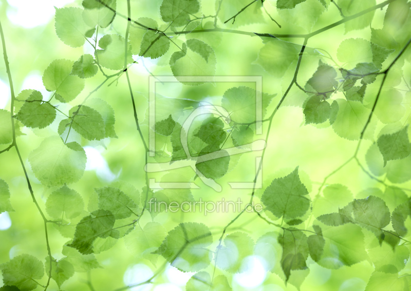 frei w&auml;hlbarer Bildausschnitt f&uuml;r Ihr Bild auf Tasse