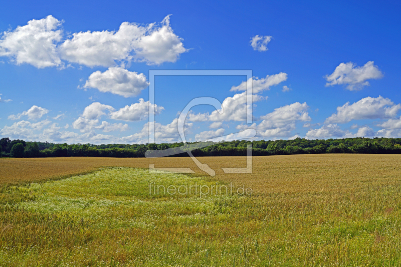 frei w&auml;hlbarer Bildausschnitt f&uuml;r Ihr Bild auf Tasse