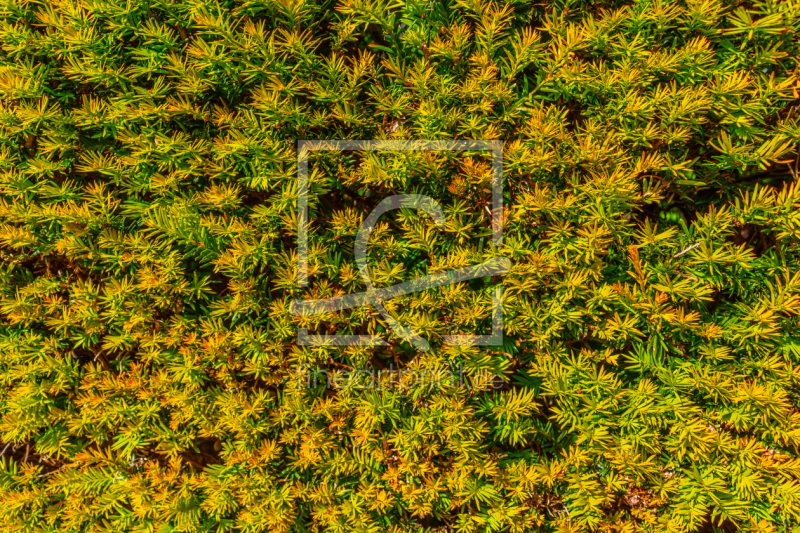 frei w&auml;hlbarer Bildausschnitt f&uuml;r Ihr Bild auf Tasse