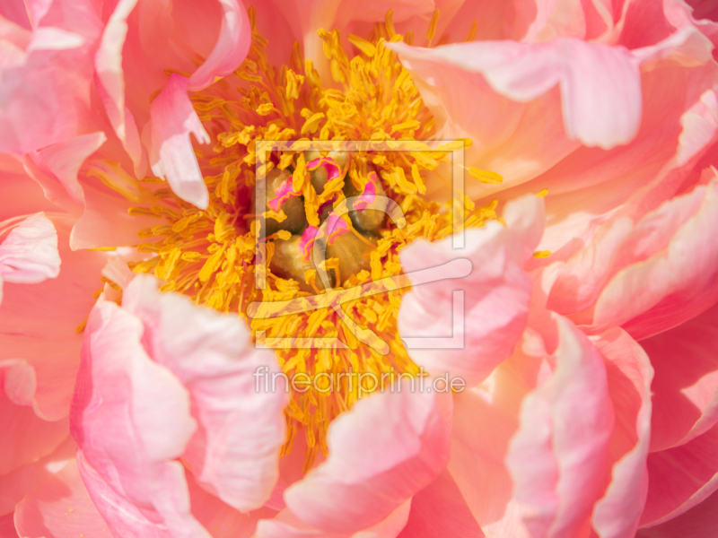 frei w&auml;hlbarer Bildausschnitt f&uuml;r Ihr Bild auf Tasse