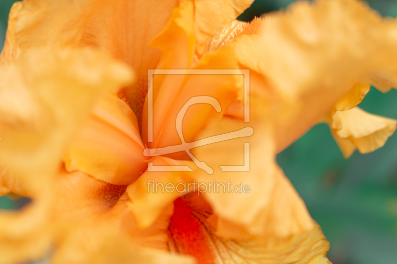 frei w&auml;hlbarer Bildausschnitt f&uuml;r Ihr Bild auf Tasse