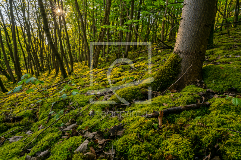 frei w&auml;hlbarer Bildausschnitt f&uuml;r Ihr Bild auf Tasse