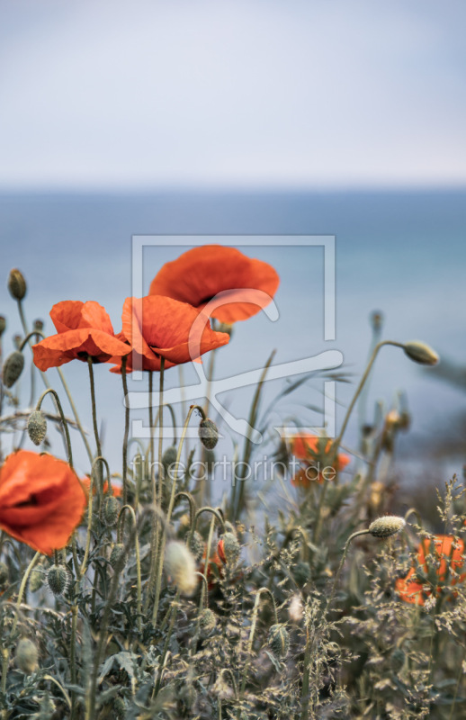 frei wählbarer Bildausschnitt für Ihr Bild auf Tasse