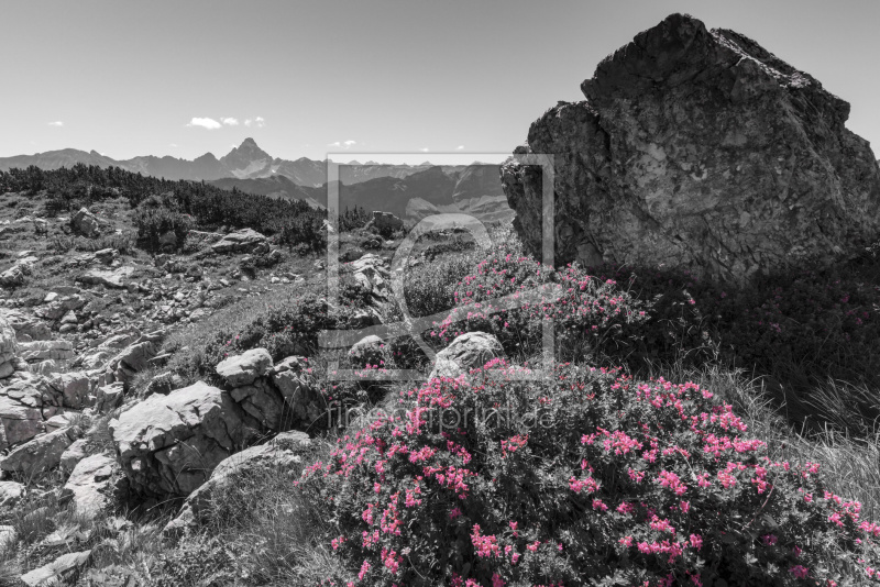 frei w&auml;hlbarer Bildausschnitt f&uuml;r Ihr Bild auf Tasse