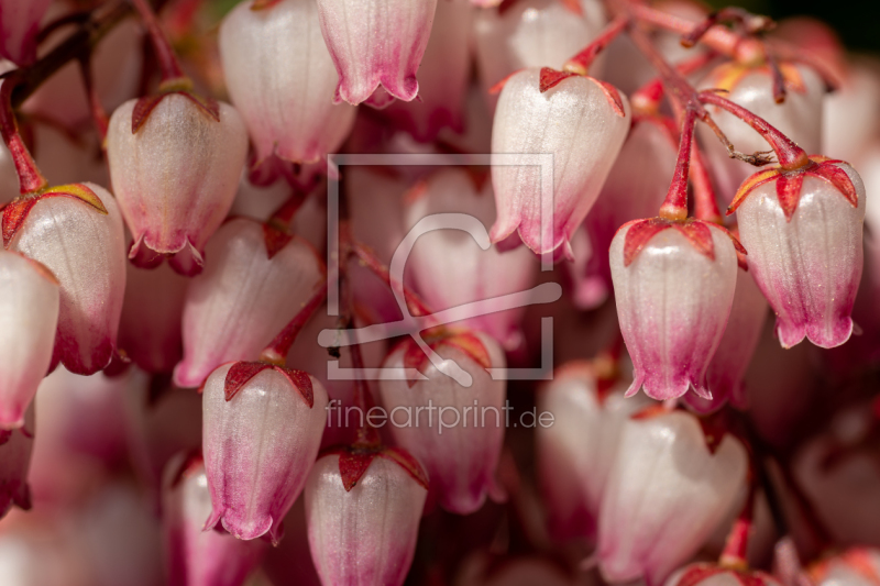 frei w&auml;hlbarer Bildausschnitt f&uuml;r Ihr Bild auf Tasse