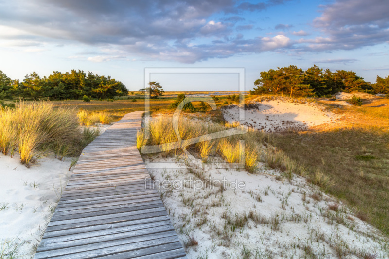 frei wählbarer Bildausschnitt für Ihr Bild auf Tasse