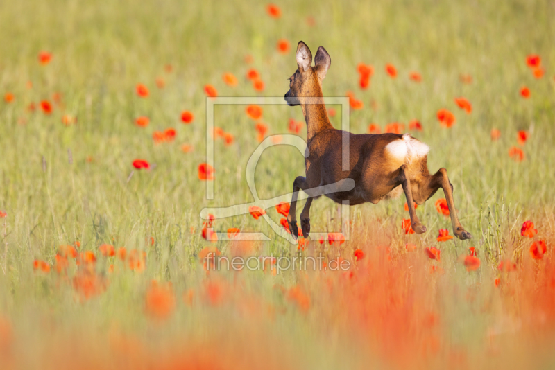 frei wählbarer Bildausschnitt für Ihr Bild auf Tasse
