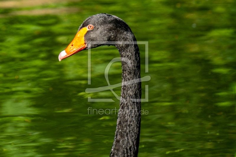 frei w&auml;hlbarer Bildausschnitt f&uuml;r Ihr Bild auf Tasse