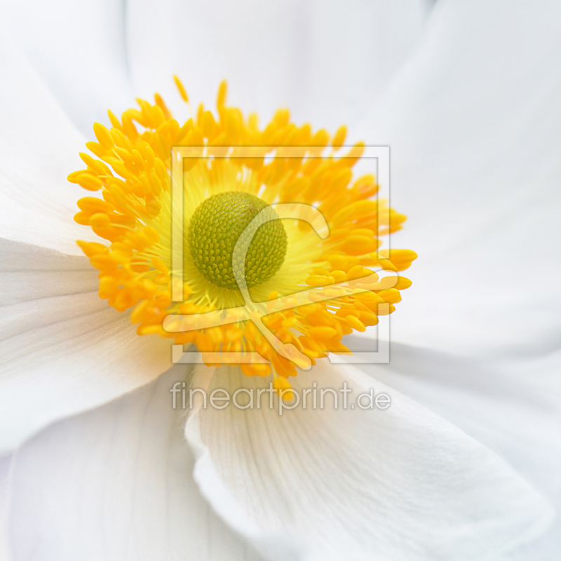 frei w&auml;hlbarer Bildausschnitt f&uuml;r Ihr Bild auf Tasse