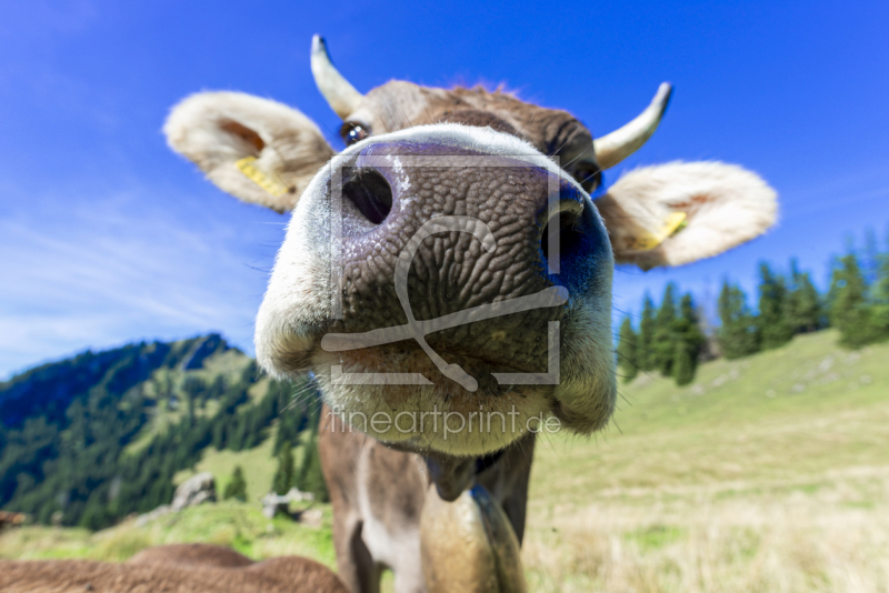 frei w&auml;hlbarer Bildausschnitt f&uuml;r Ihr Bild auf Tasse