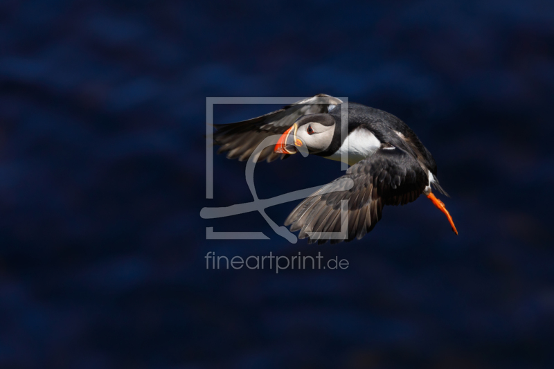 frei w&auml;hlbarer Bildausschnitt f&uuml;r Ihr Bild auf Tasse