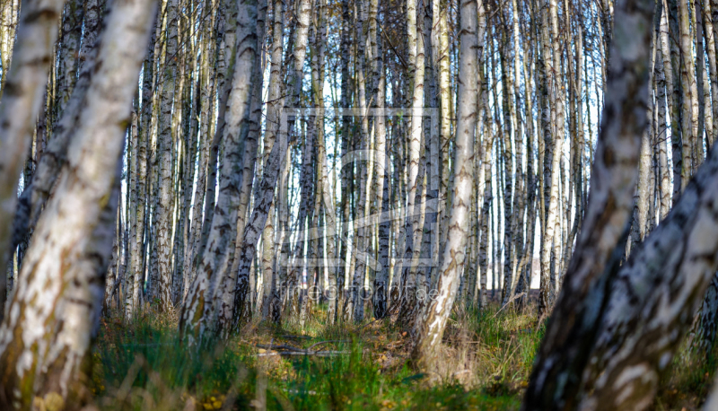 frei w&auml;hlbarer Bildausschnitt f&uuml;r Ihr Bild auf Tasse