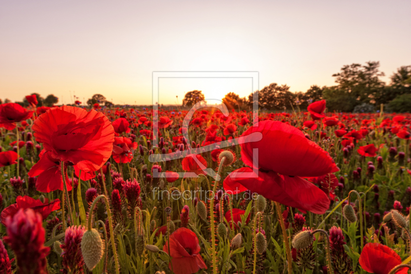 frei wählbarer Bildausschnitt für Ihr Bild auf Tasse