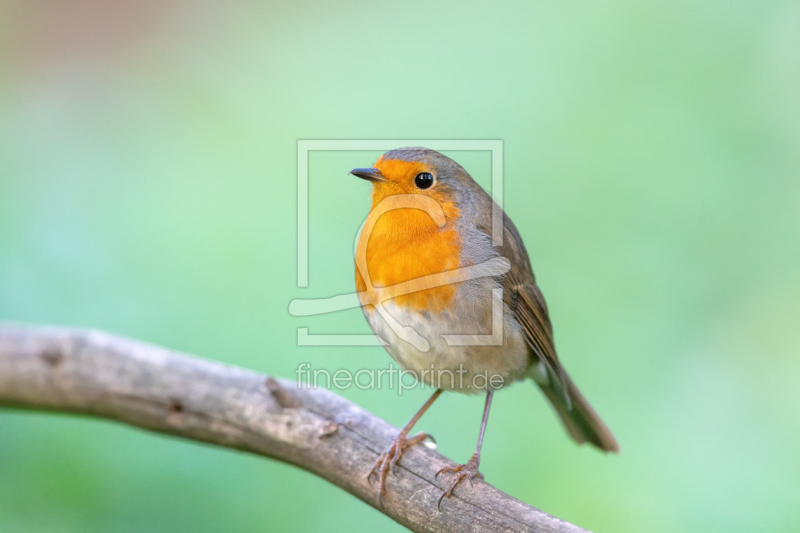 frei w&auml;hlbarer Bildausschnitt f&uuml;r Ihr Bild auf Tasse