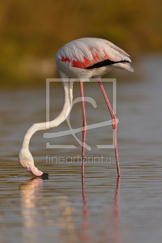 frei wählbarer Bildausschnitt für Ihr Bild auf Tasse