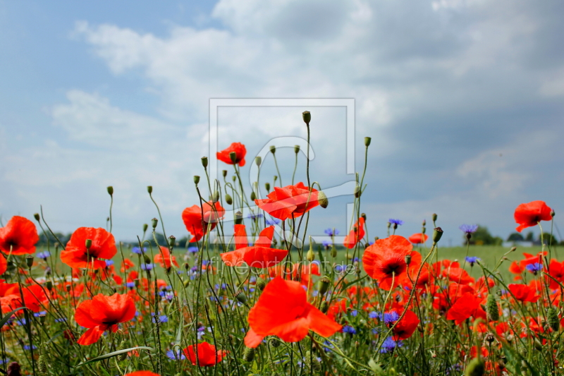 frei wählbarer Bildausschnitt für Ihr Bild auf Tasse