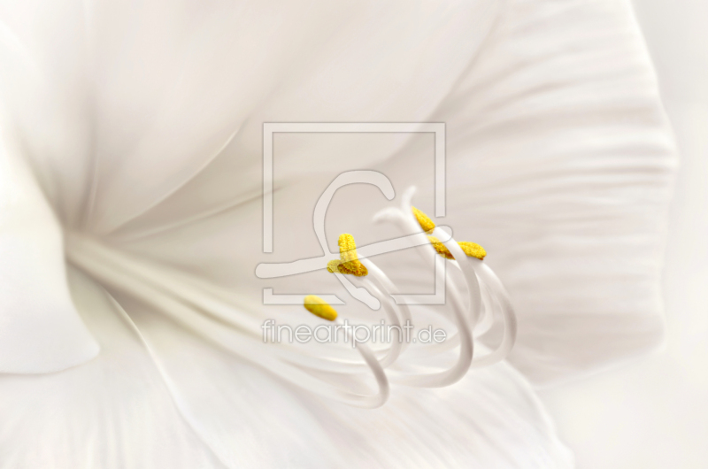 frei w&auml;hlbarer Bildausschnitt f&uuml;r Ihr Bild auf Tasse