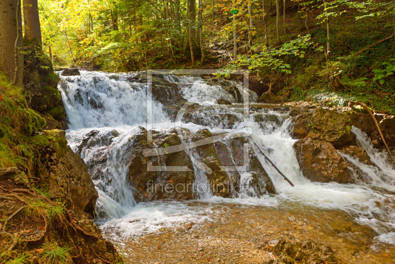 frei wählbarer Bildausschnitt für Ihr Bild auf Tasse