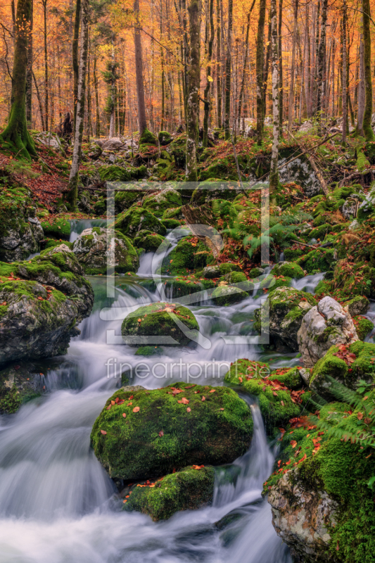 frei wählbarer Bildausschnitt für Ihr Bild auf Tasse