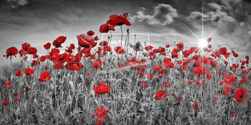 frei w&auml;hlbarer Bildausschnitt f&uuml;r Ihr Bild auf Tasse