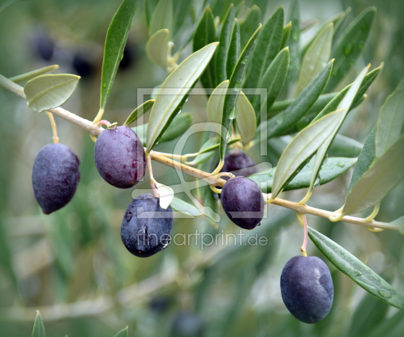 frei w&auml;hlbarer Bildausschnitt f&uuml;r Ihr Bild auf Tasse