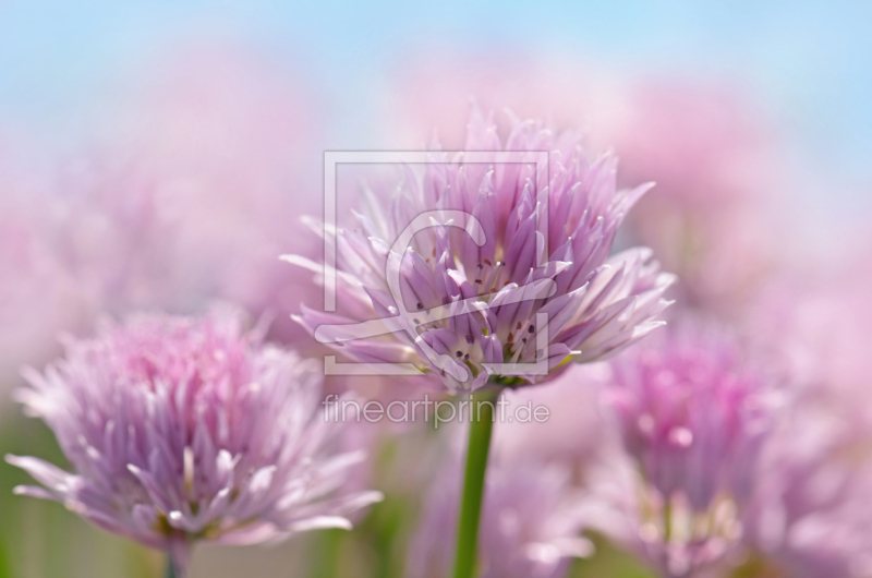 frei wählbarer Bildausschnitt für Ihr Bild auf Tasse