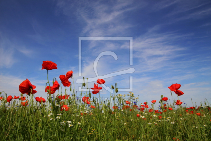 frei wählbarer Bildausschnitt für Ihr Bild auf Tasse