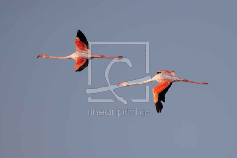 frei wählbarer Bildausschnitt für Ihr Bild auf Tasse