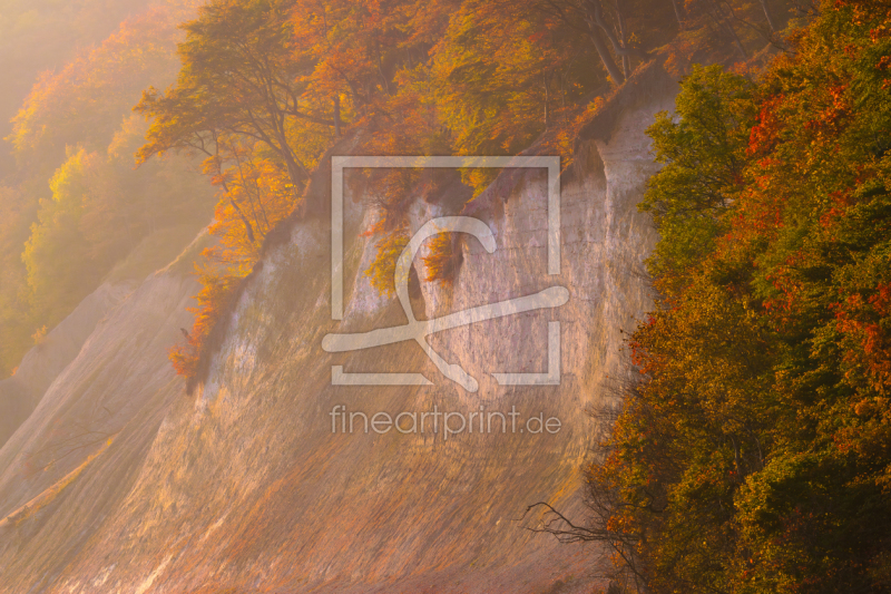 frei wählbarer Bildausschnitt für Ihr Bild auf Tasse