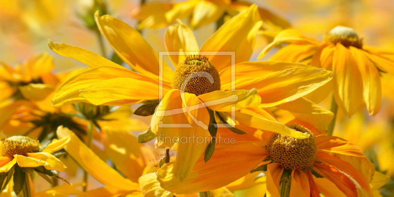 frei wählbarer Bildausschnitt für Ihr Bild auf Tasse