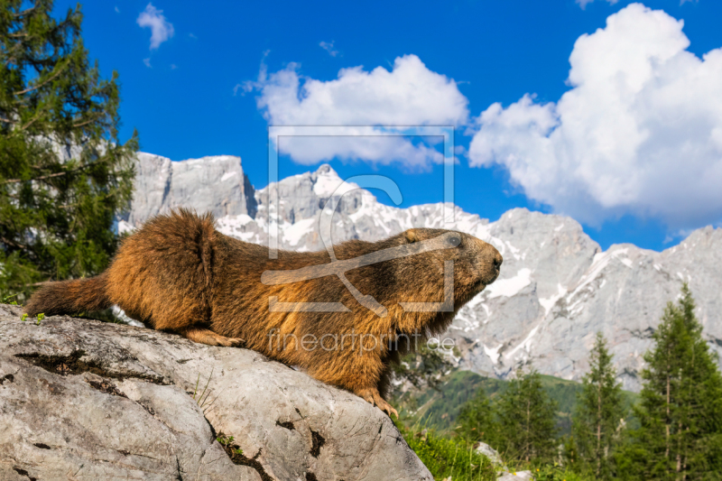 frei wählbarer Bildausschnitt für Ihr Bild auf Tasse