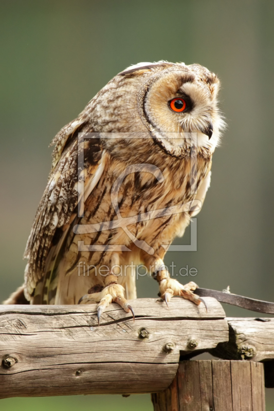 frei wählbarer Bildausschnitt für Ihr Bild auf Tasse