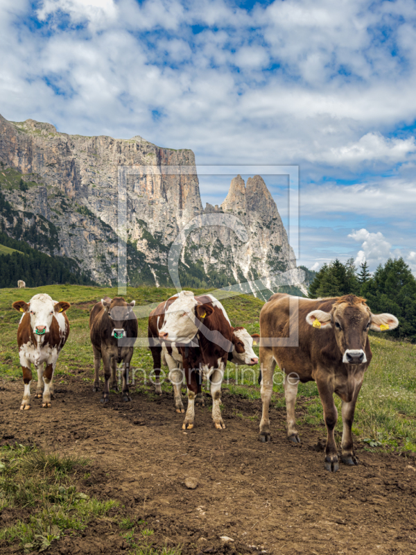 frei w&auml;hlbarer Bildausschnitt f&uuml;r Ihr Bild auf Tasse